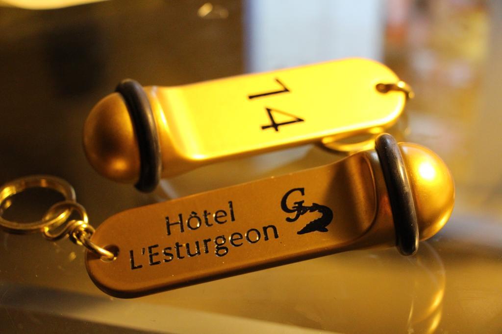 Hotel L'Esturgeon Poissy Zewnętrze zdjęcie